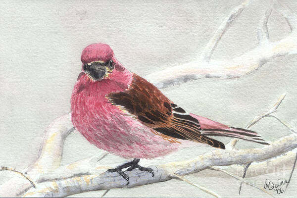 Bird Art Print featuring the painting Purple Finch by Lynn Quinn