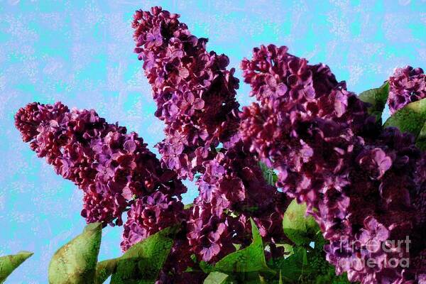 Bloom Art Print featuring the photograph Purple Lilac 2 by Jean Bernard Roussilhe