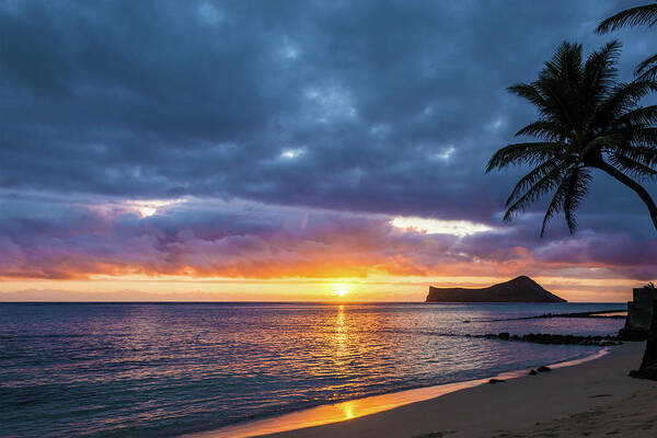 Rabbit Island Manana Kaohikaipu Makapuu Beach Sunrise Oahu Hawaii Hi Seascape Art Print featuring the photograph Rabbit Island Sunrise 3 - Oahu Hawaii by Brian Harig