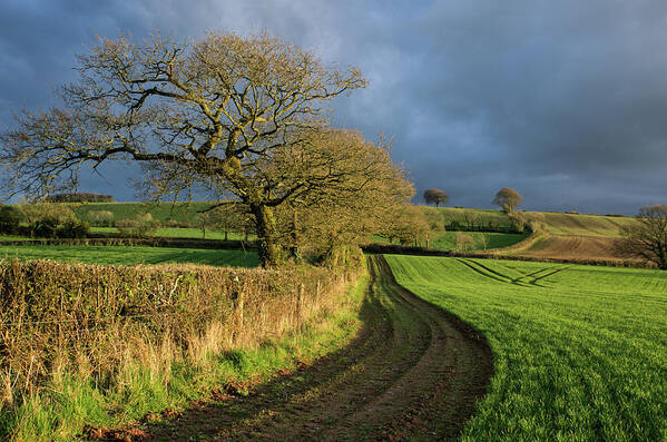 Raddon Top Devon Art Print featuring the photograph Raddon Top in Mid Devon by Pete Hemington