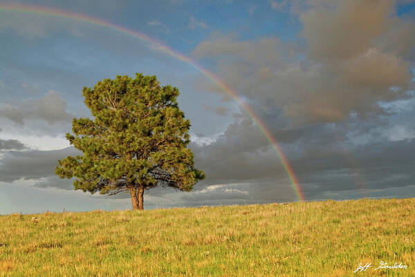 Arizona Art Print featuring the photograph Rainbow Over a Lone Tree by Jeff Goulden