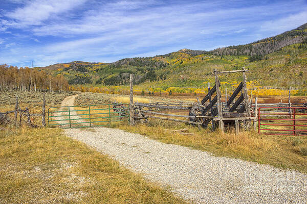 Fall Art Print featuring the photograph Ranch Road by Spencer Baugh