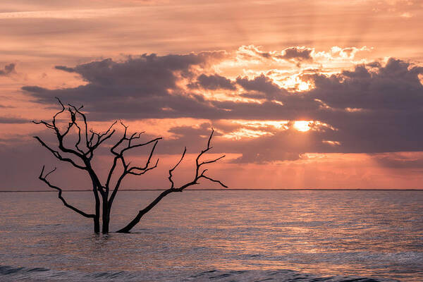 Alexandria Art Print featuring the photograph Behold by Michael Donahue