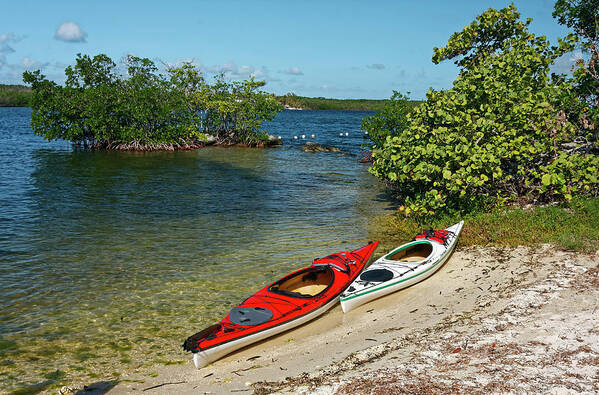 2 Kayaks Art Print featuring the photograph Ready to Paddle by Sally Weigand