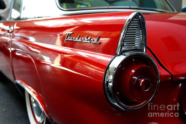 Transportation Art Print featuring the photograph Red 1955 Ford 40A Thunderbird . Wing View by Wingsdomain Art and Photography