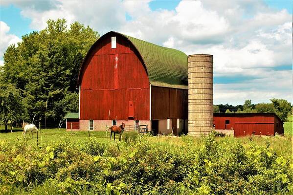 Barn Art Print featuring the photograph 0040 - Red Barn and Horses by Sheryl L Sutter