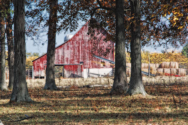Agriculture Art Print featuring the photograph Red Barn through The Trees by Pamela Baker