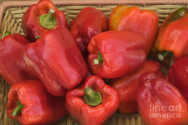 Pepper Art Print featuring the photograph Red Bell Peppers by Inga Spence