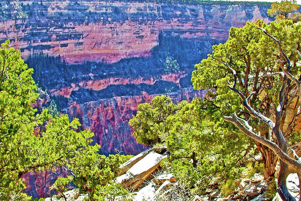 Red Canyon Wall By The Abyss On West Side Of South Rim Of Grand Canyon National Park Art Print featuring the photograph Red Canyon Wall by the Abyss in Grand Canyon National Park-Arizona by Ruth Hager