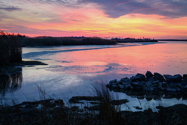 Back Bay Art Print featuring the photograph Red Ice by Michael Scott