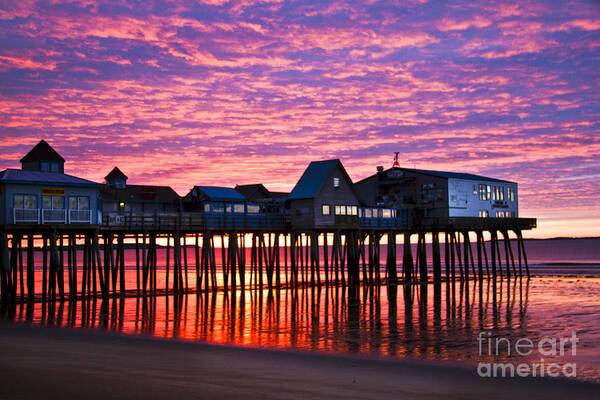 Red Art Print featuring the photograph Red Morning by Brenda Giasson