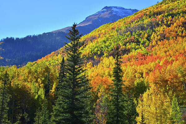 Colorado Art Print featuring the photograph Red Mountain Pass Fall Color by Ray Mathis