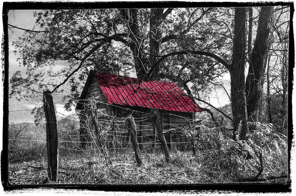 Andrews Art Print featuring the photograph Red Roof Black and White by Debra and Dave Vanderlaan