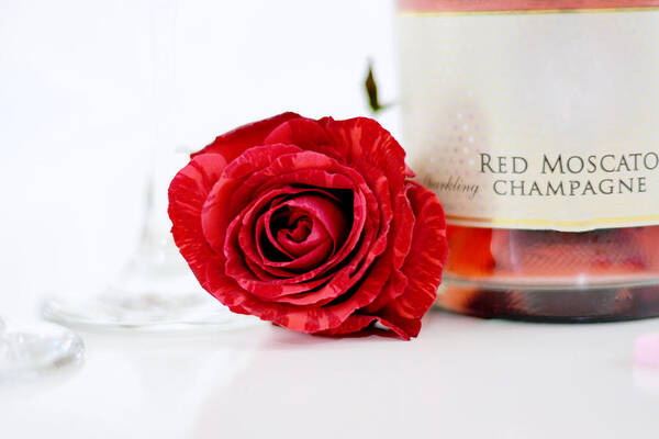 Background Art Print featuring the photograph Red Rose With Champagne by Serena King