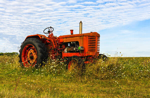 Tractor Art Print featuring the photograph Red Tractor. by John Paul Cullen