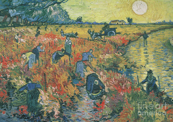 Van Gogh Art Print featuring the painting Red Vineyards at Arles by Vincent van Gogh