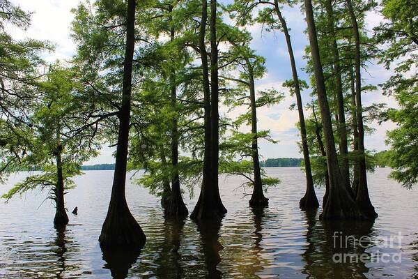 Nature Art Print featuring the photograph Reelfoot Lake by Tonya Hance