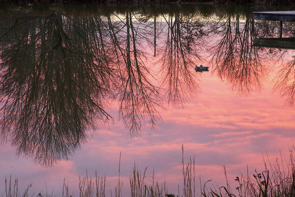 Sunset Art Print featuring the photograph Reflecting Pond by Jurgen Lorenzen