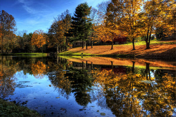 Water Reflection Art Print featuring the photograph Reflection of Northeast Ohio Fall by David Dufresne