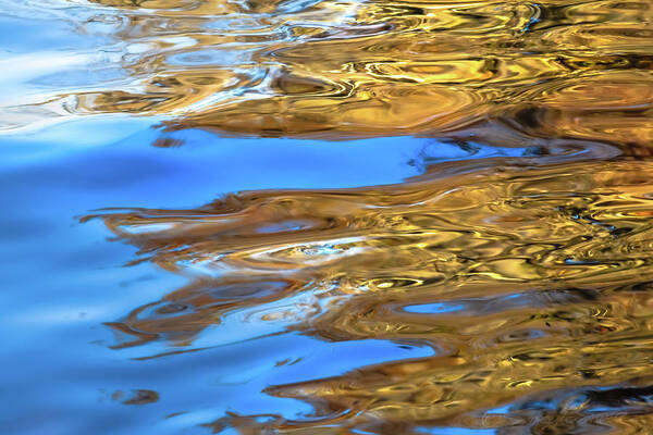 Abstract Art Print featuring the photograph St. Johns Reflection XIII by Stacey Sather