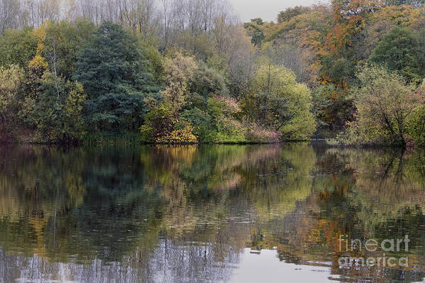 Trees Art Print featuring the photograph Reflections of autumns colours by Peter McHallam