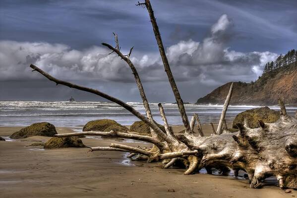 Hdr Art Print featuring the photograph Resting by Brad Granger