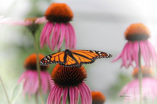 Monarch Art Print featuring the photograph Resting Monarch by Yumi Johnson