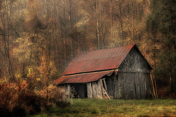 Barn Art Print featuring the photograph Resting Place by Mike Eingle