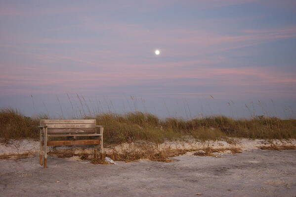 Bench Art Print featuring the photograph Resting Spot by Beth Collins