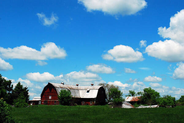 Barn Art Print featuring the photograph Retired Barn by Lori Tambakis