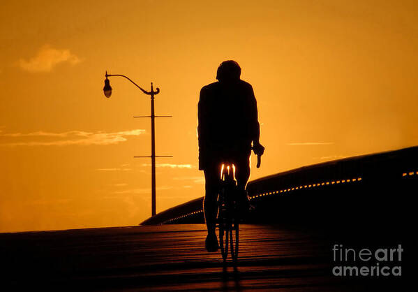 Bicycle Art Print featuring the photograph Riding at Sunset by David Lee Thompson