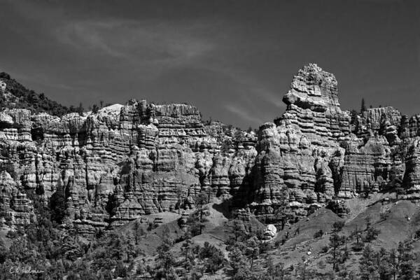 Canyon Art Print featuring the photograph Rippled Walls B-W by Christopher Holmes