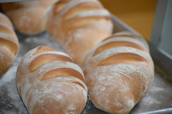 Buns Art Print featuring the photograph Our Daily Bread by Bill Hamilton