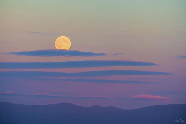 Moon Art Print featuring the photograph Rising Harvest Moon by Dee Browning