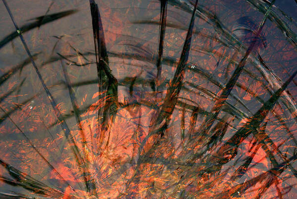 Water Art Print featuring the digital art Rising Sun by Richard Andrews