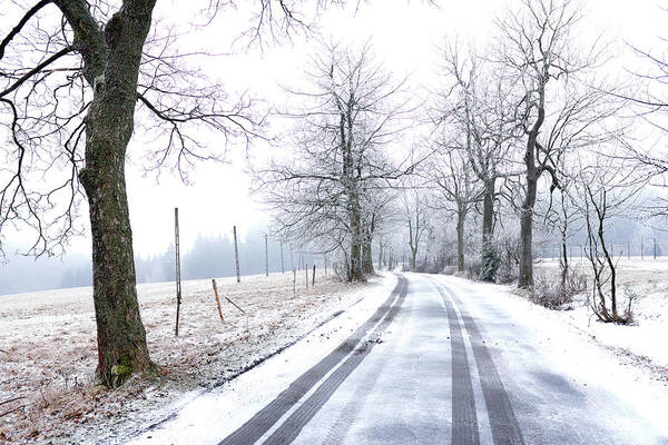 Winter Art Print featuring the photograph Road To Nowhere by Dubi Roman