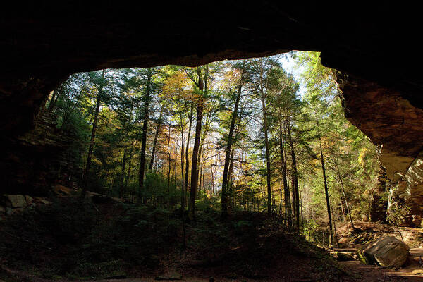 Ash Cave Art Print featuring the photograph Rock Overhang by Rich S