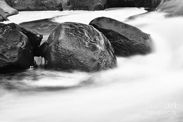 Photography Art Print featuring the photograph Rock Solid by Larry Ricker