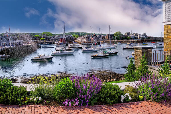 Ocean Art Print featuring the photograph Rockport In Bloom by Mark Myhaver