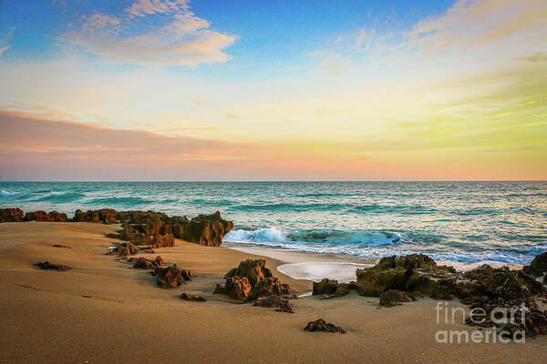 Beach Art Print featuring the photograph Rocky Beach by Tom Claud