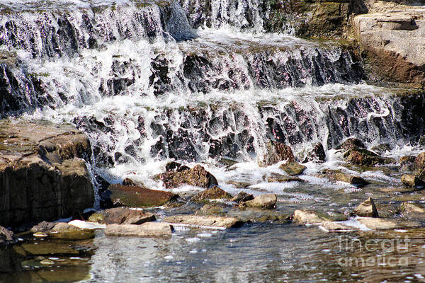 Waterfall Art Print featuring the photograph Rocky Creek by Ella Kaye Dickey