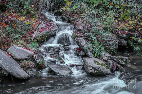 Waterfall Art Print featuring the photograph Rocky Falls by Tom Claud