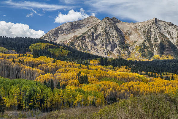 Scenic Art Print featuring the photograph Rocky Mountain Autumn Season Colors by James BO Insogna