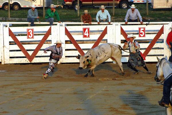 Rodeo Art Print featuring the photograph Rodeo 335 by Joyce StJames