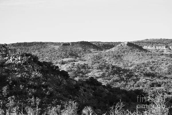 Black And White Art Print featuring the photograph Rolling Hills in Black and White by Don McAllister