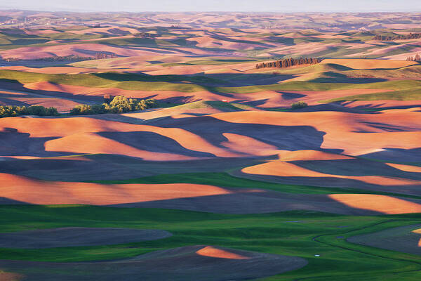 Palouse Art Print featuring the photograph Rolling Hills in Palouse W278 by Yoshiki Nakamura