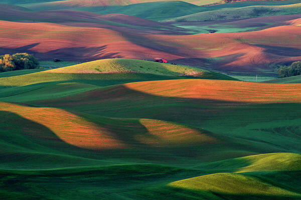 Palouse Art Print featuring the photograph Rolling Hills Palouse by Yoshiki Nakamura