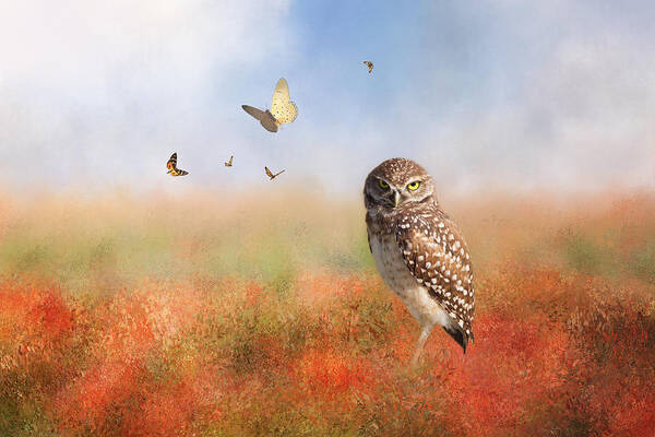 Owl Art Print featuring the photograph Romping In The Poppy Field by Kim Hojnacki