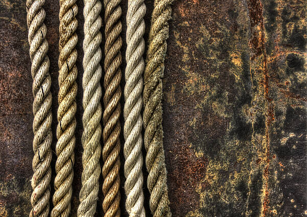 Rope Art Print featuring the photograph Ropes by Evelina Kremsdorf