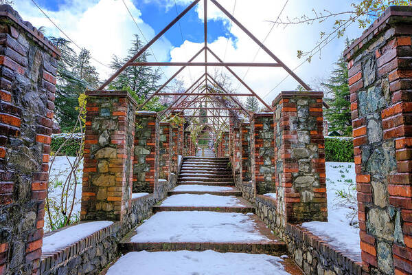 Empire Mine Art Print featuring the photograph Rose Garden Path by Robin Mayoff